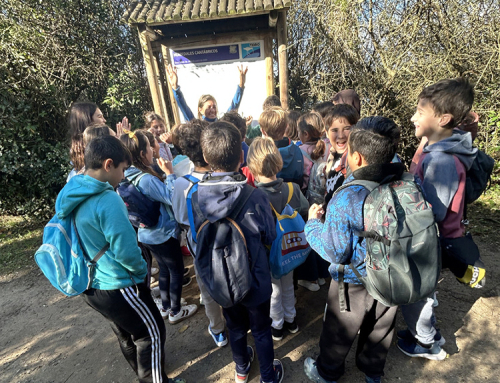 Las aves regresan al Ecoparque de Trasmiera