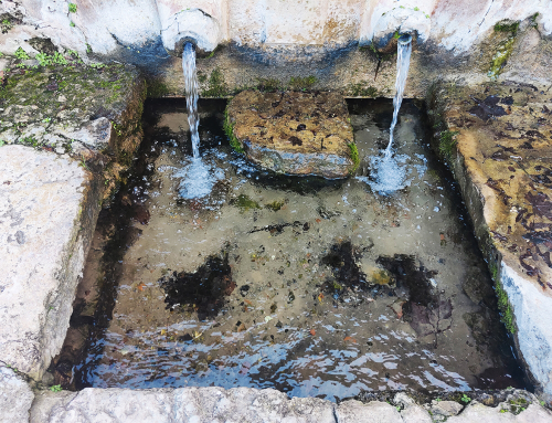 ¿Imaginas un futuro sin agua potable?