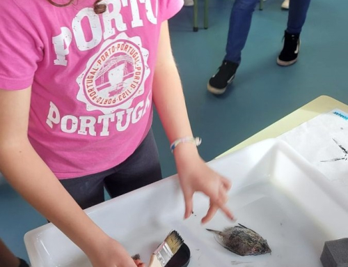 Arte gyotaku para conocer la morfología de los peces
