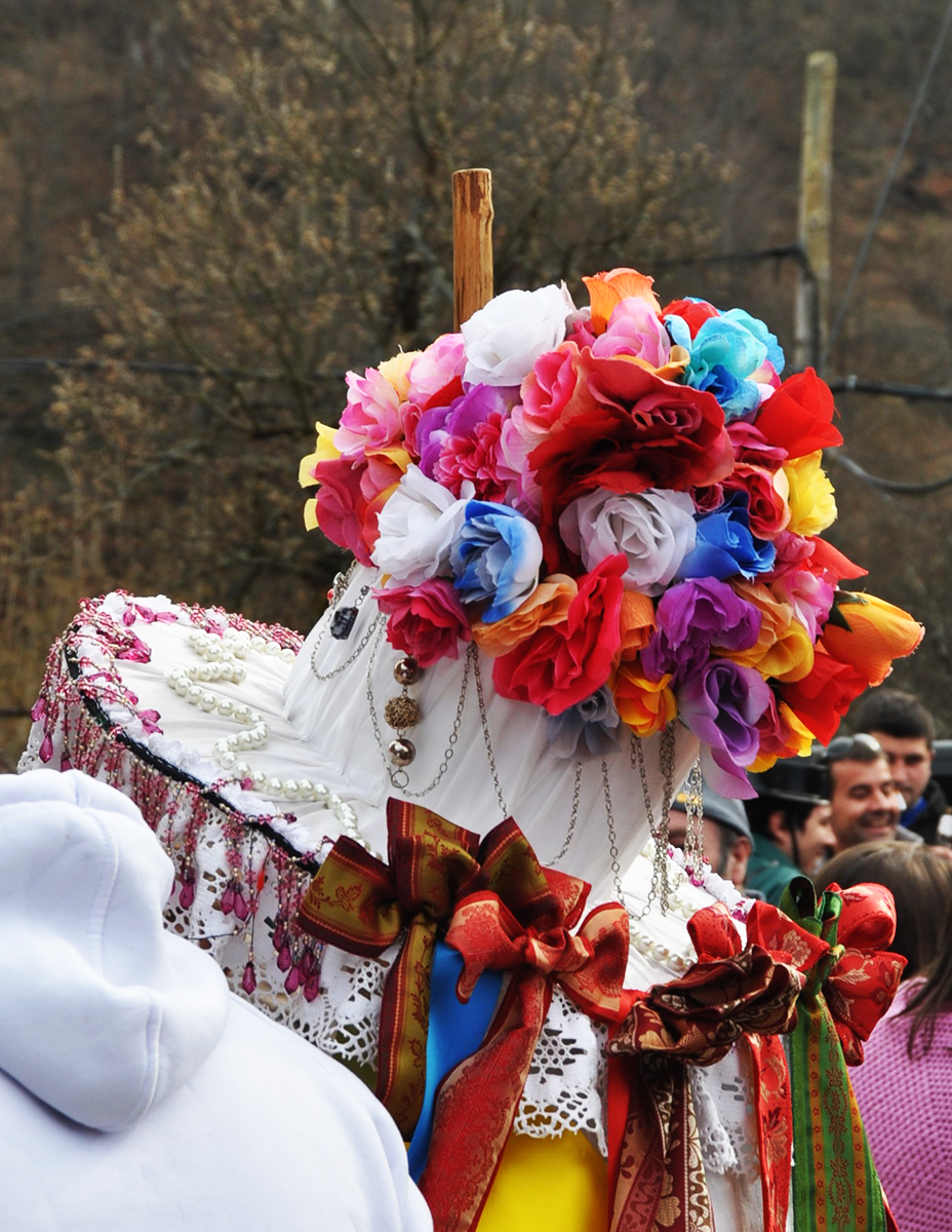 El alegre color de los zamarrones