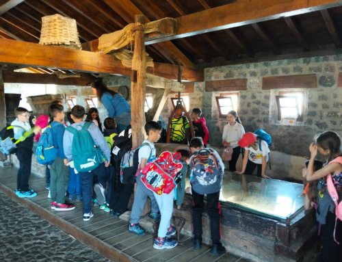 Ecoparque de Trasmiera: un museo al aire libre