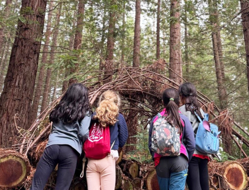 Tradición y sabor en Udías