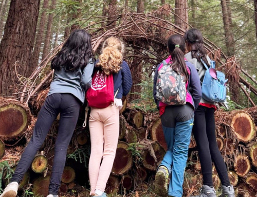 Tradición y sabor en Udías