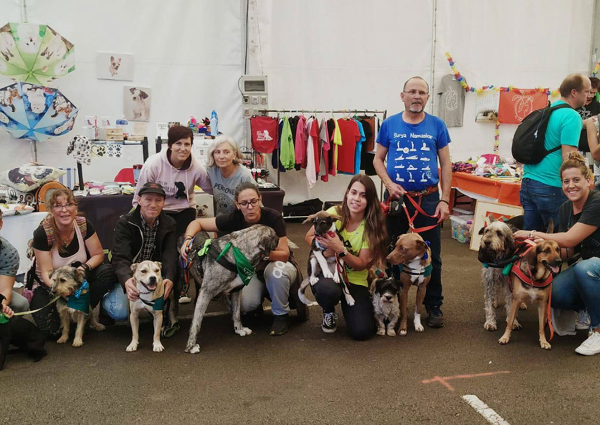 Voluntariado en un refugio canino