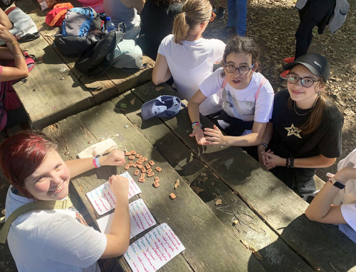 VII ‘Marcha solidaria’ del IES Santa Cruz