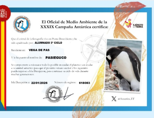 Ayúdales frenando el cambio climático
